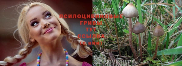 гашиш Баксан