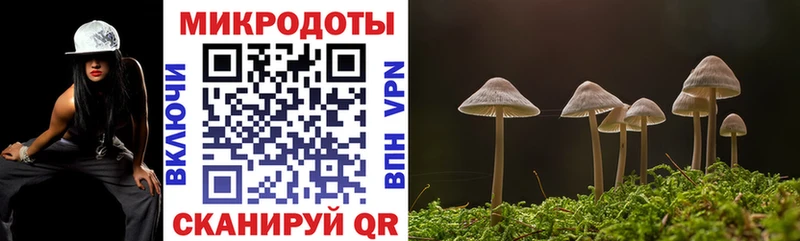 магазин продажи   Нижнеудинск  Галлюциногенные грибы GOLDEN TEACHER 